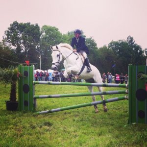 díjugratás fehér ló